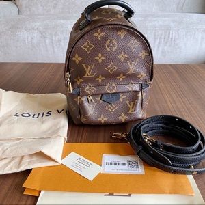 Louis Vuitton Mini Palm Springs Backpack